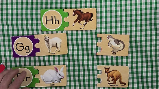 Animal Cards (Phonics)